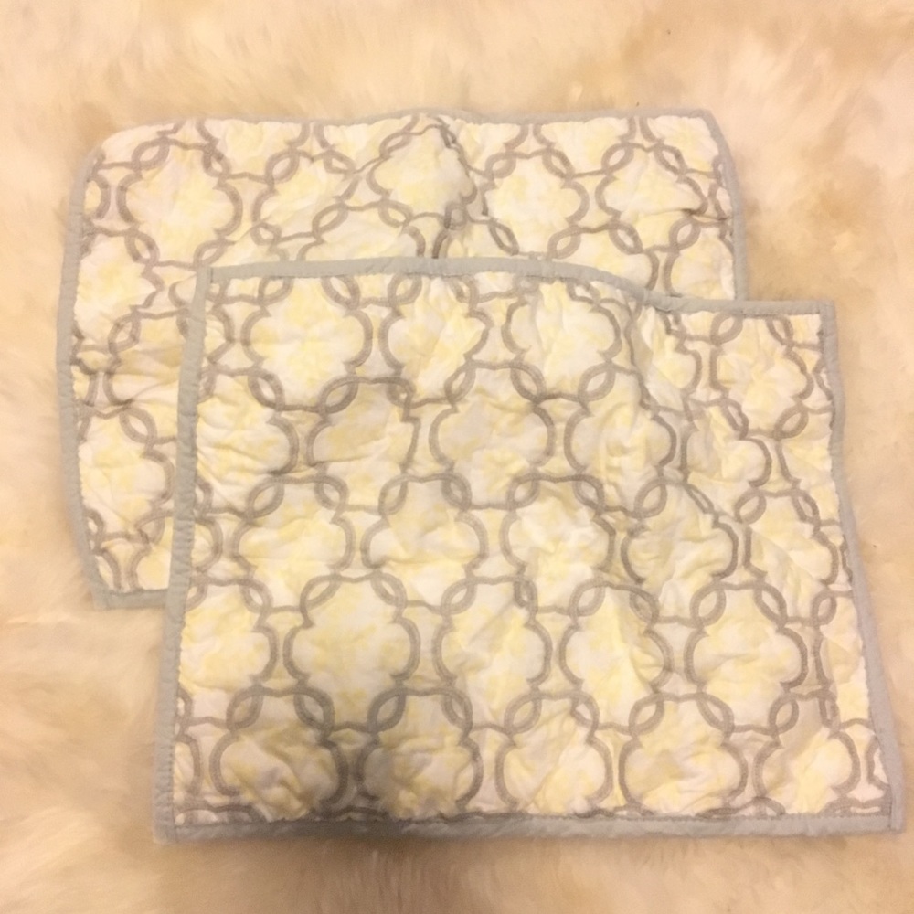 Pottery Barn Kids Sham and Pillow cases